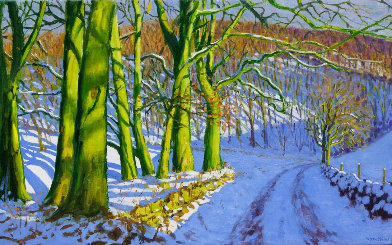Vihreät puut,talvi;Dam Lane;Derbyshire, tekijältä Andrew Macara