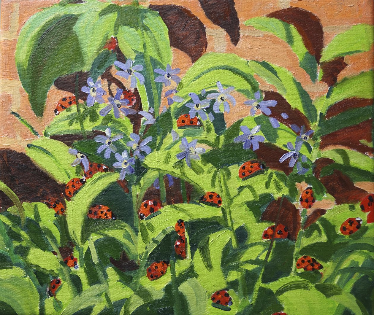 leppäkerttuja,2013 tekijältä Andrew Macara