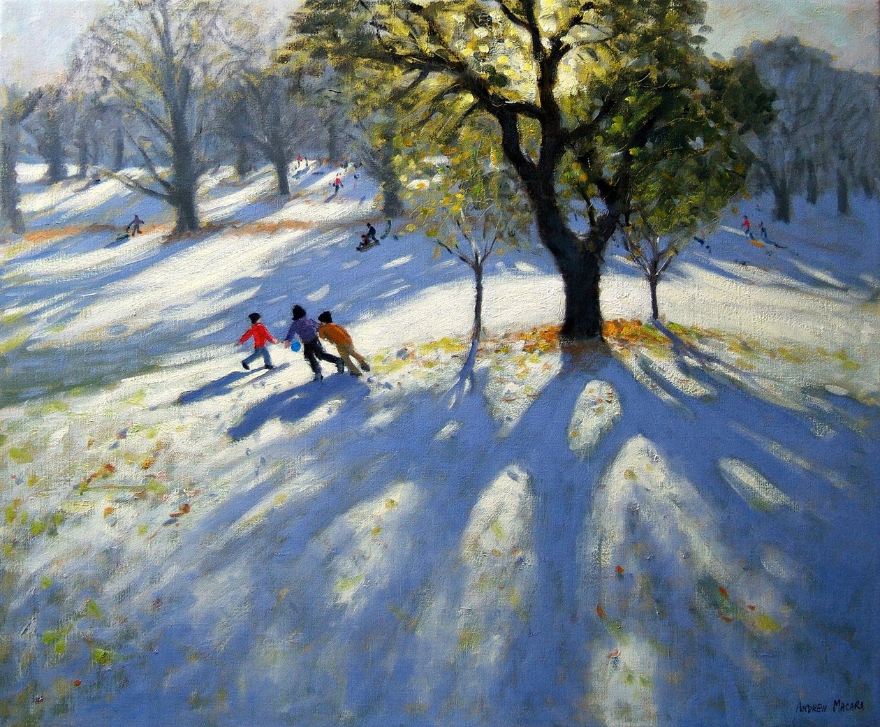 Markeaton Park, aikainen lumi tekijältä Andrew Macara