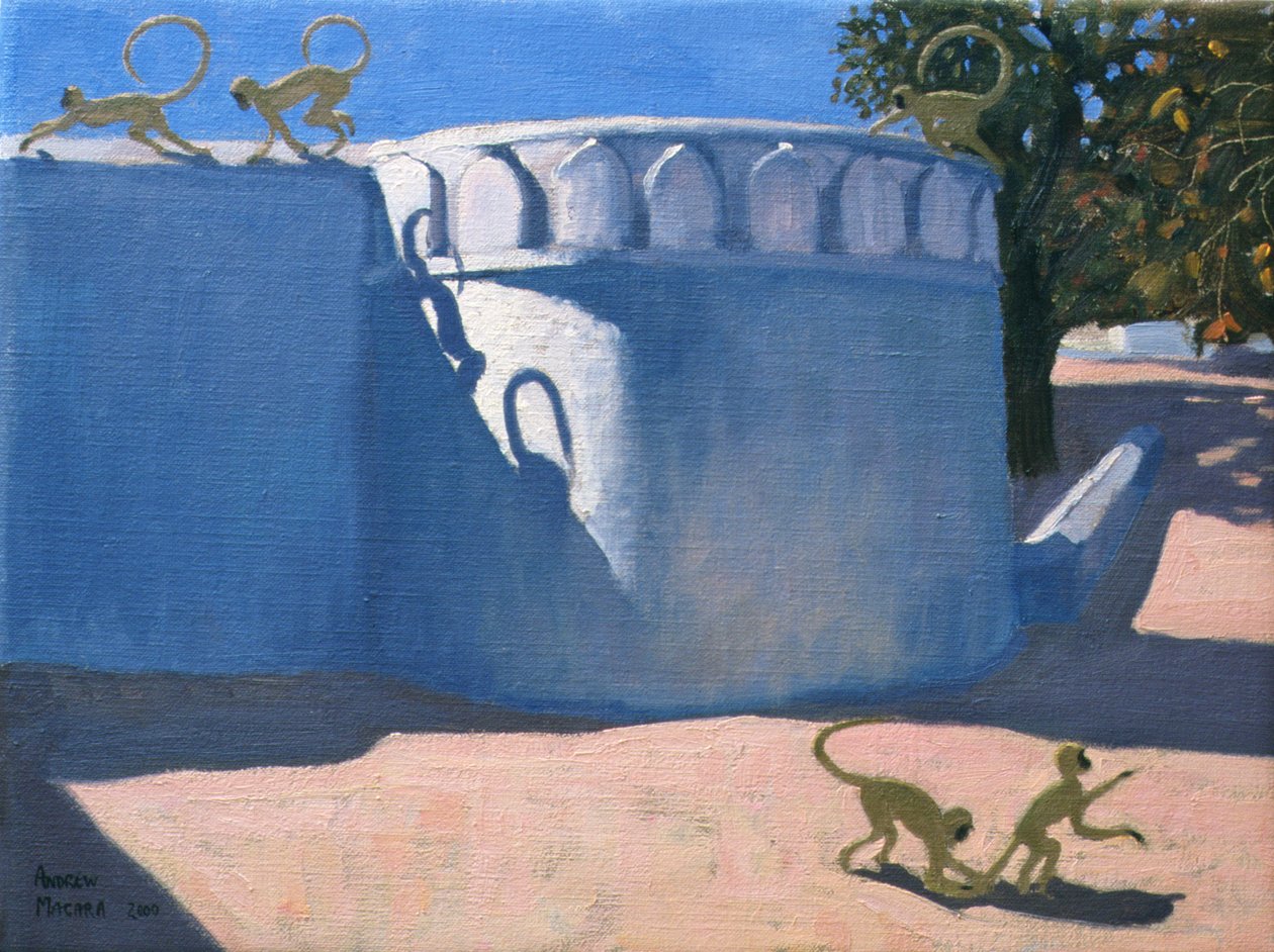 Apinatemppeli, Intia, 2000 tekijältä Andrew Macara