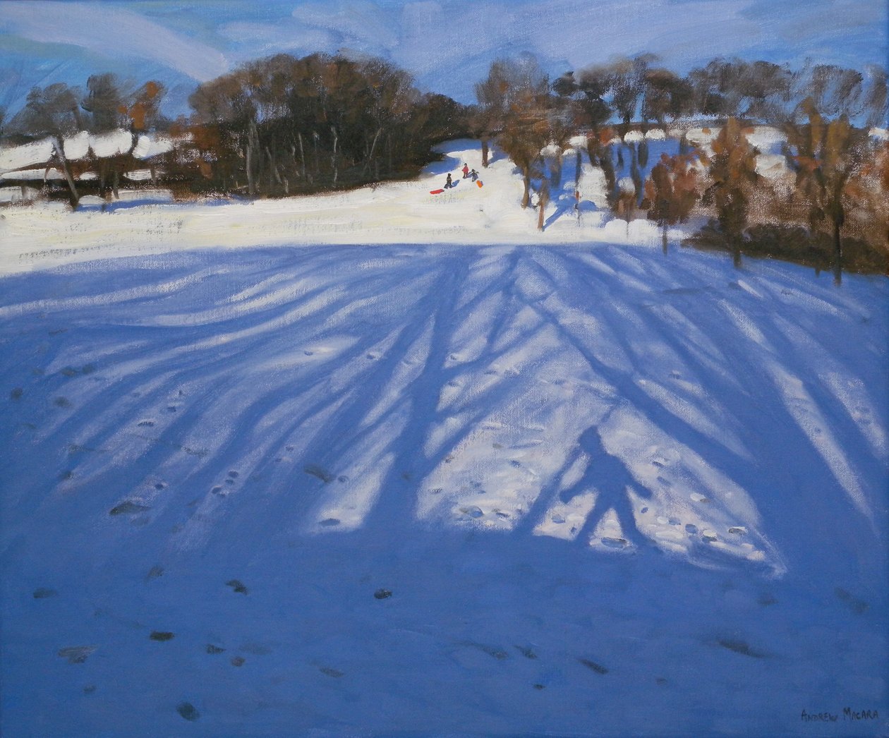 Shadow of Sledger, 2008 tekijältä Andrew Macara