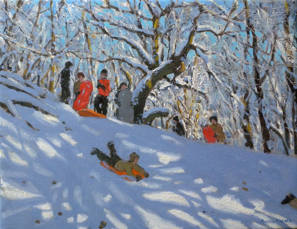 Kelkkailu Allestree Woodsissa, 2011 tekijältä Andrew Macara