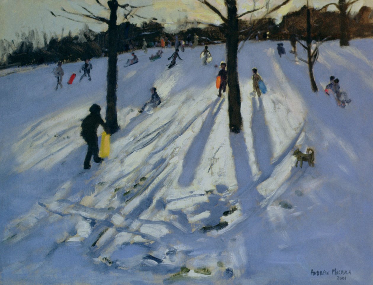 Snow, Rykneld Park, Derby, 2001 tekijältä Andrew Macara