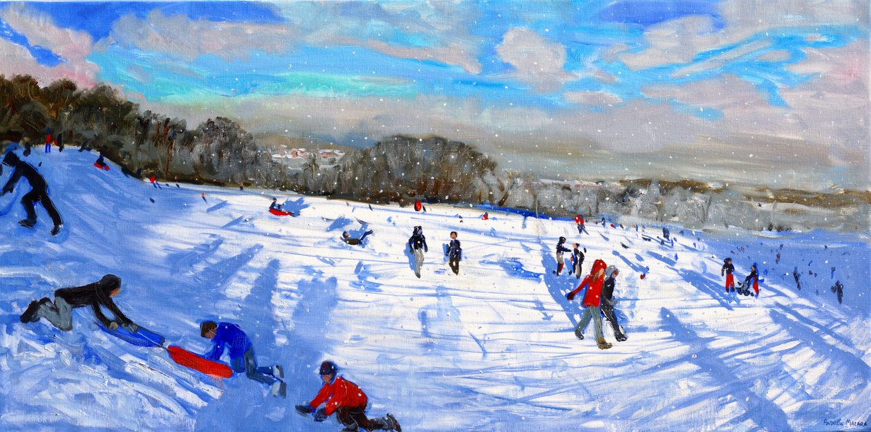 Lumikuuroja, Allestree Park, Derby. tekijältä Andrew Macara