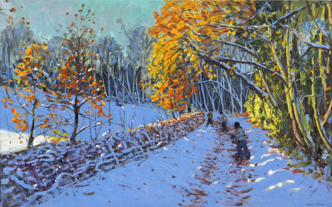Snowballing, Allestree Park, Derby, 2014 tekijältä Andrew Macara