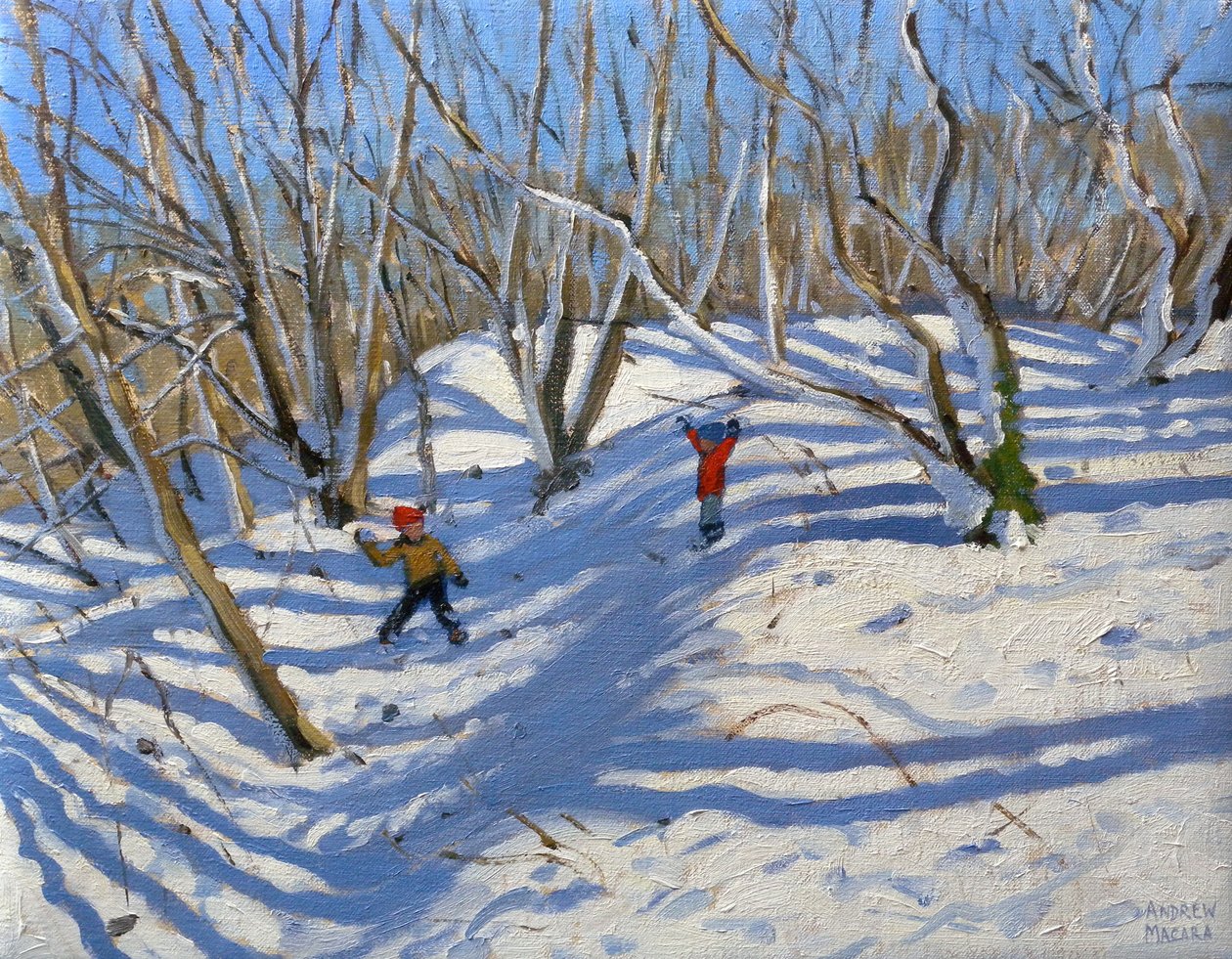 Spring Snow, Newhaven Derbyshire, 2008 tekijältä Andrew Macara