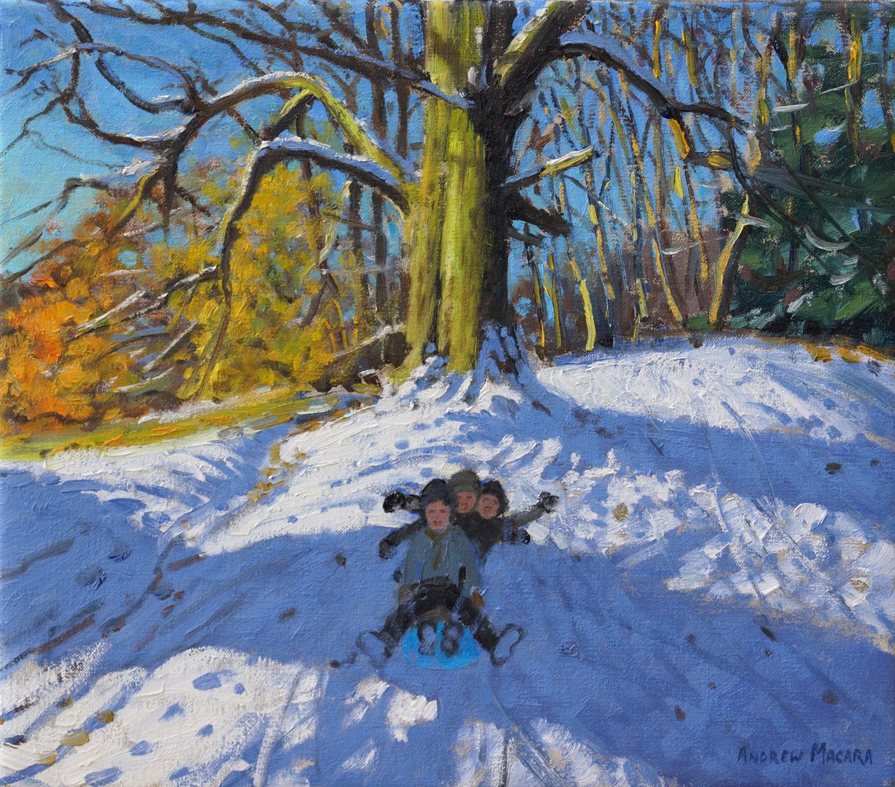 Kolme kelkassa, Allestree Park Derby .2014, tekijältä Andrew Macara