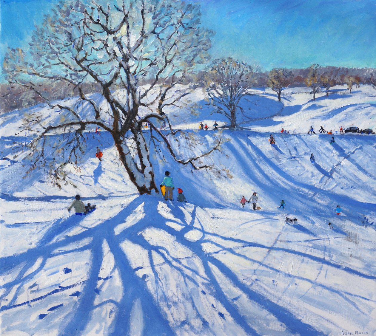 Tobogganers, Chatsworth, 2012 tekijältä Andrew Macara