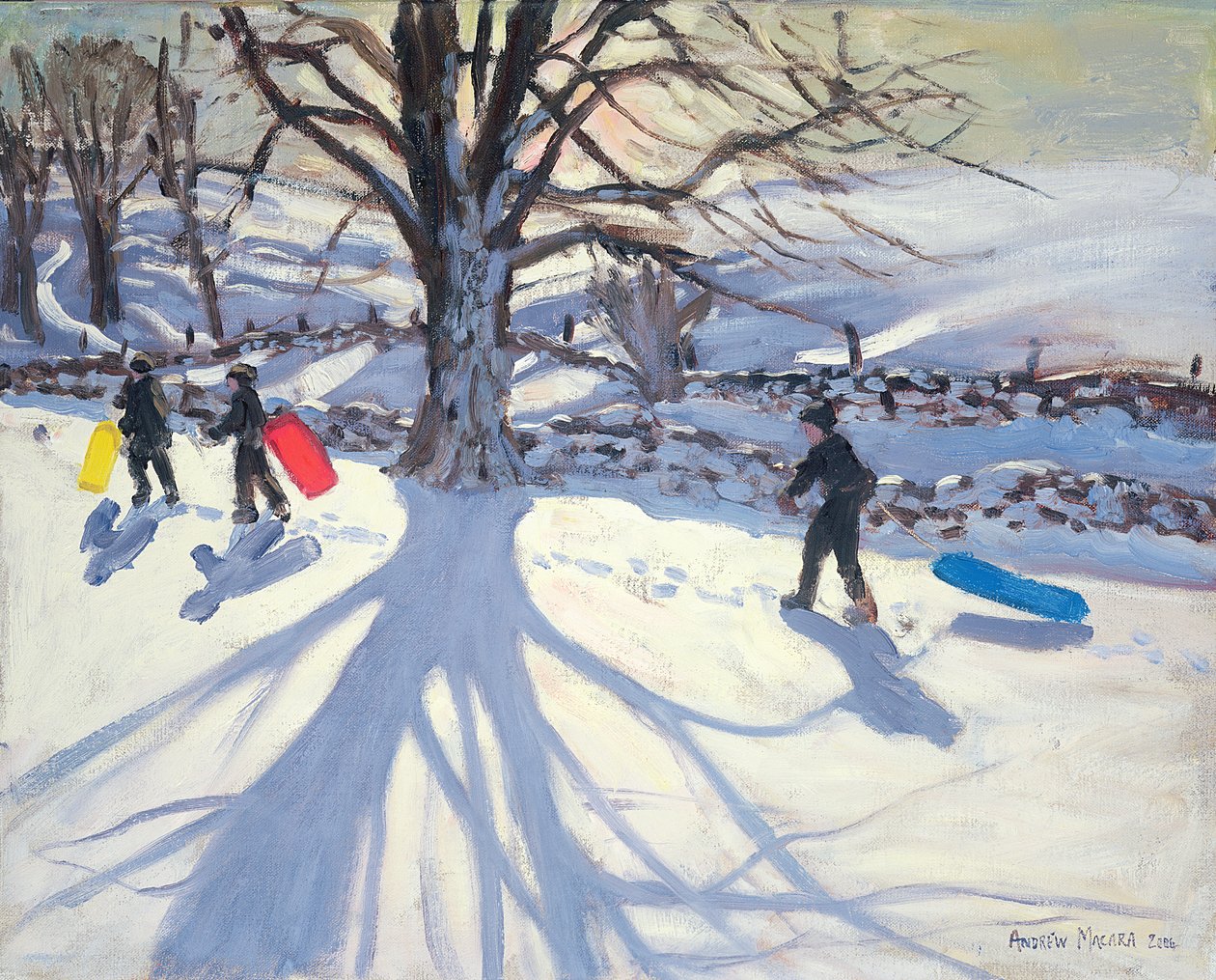 Kelkkailu, lähellä Youlgreaveä, 2004 tekijältä Andrew Macara