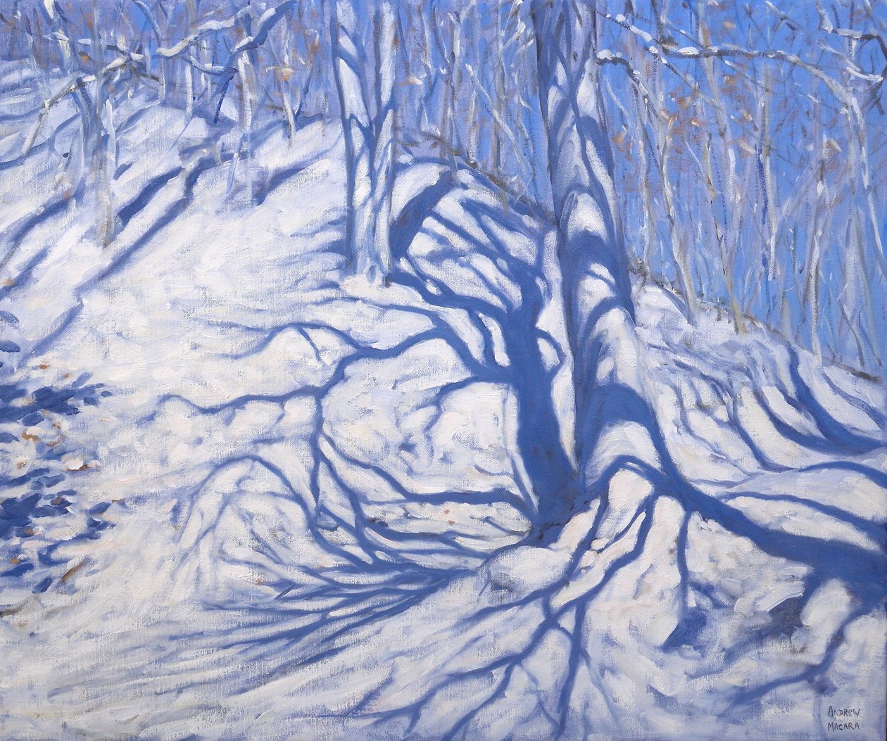 Winter Woodland, lähellä Courchevalia, 2008 tekijältä Andrew Macara