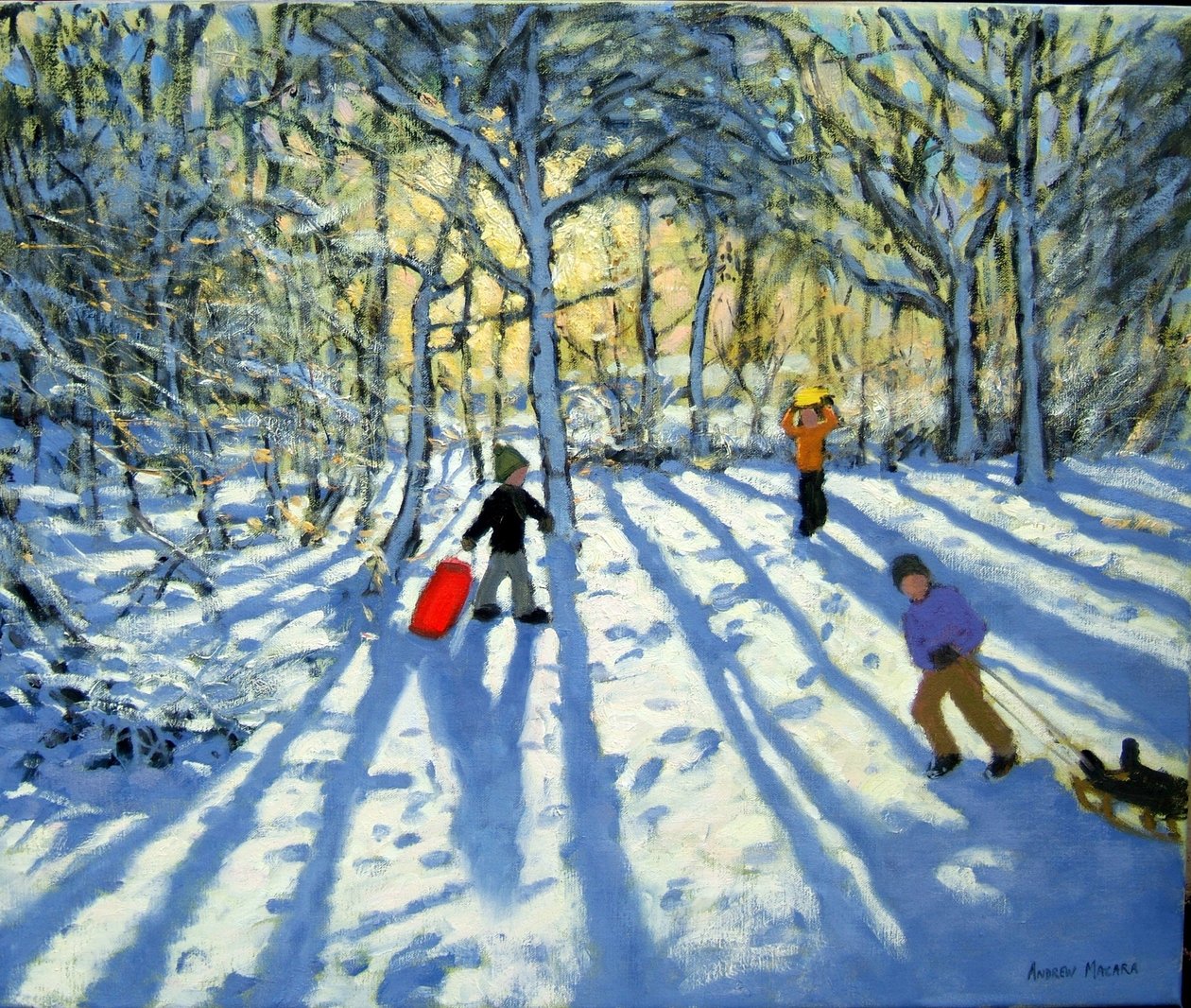 Metsä talvella, lähellä Ashbournea, Derbyshire tekijältä Andrew Macara
