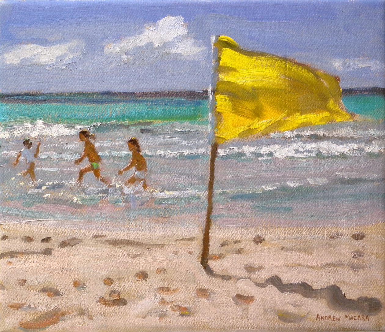 Keltainen lippu, Barbados, 2010 tekijältä Andrew Macara
