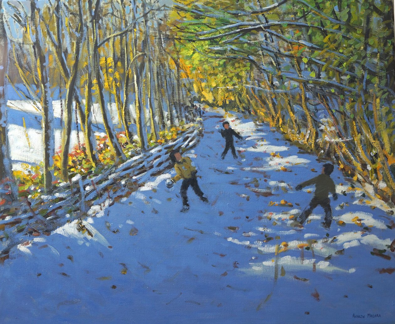 Keltaiset puut, Allestree Park, 2012 tekijältä Andrew Macara
