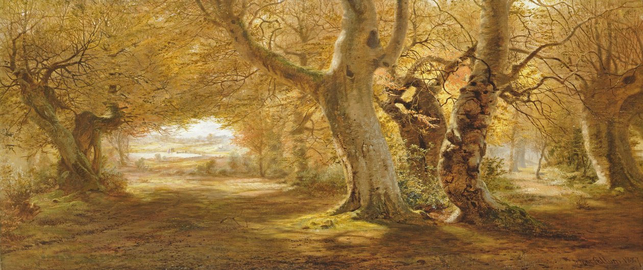 Metsäinen maisema, 1887 tekijältä Andrew McCallum