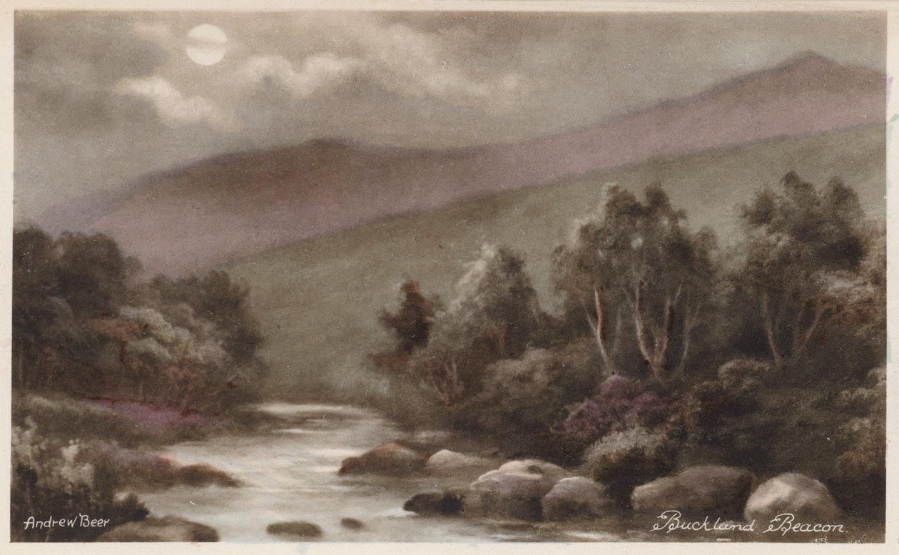 Dartmoor: Buckland Beacon (värikuva) tekijältä Andrew Beer