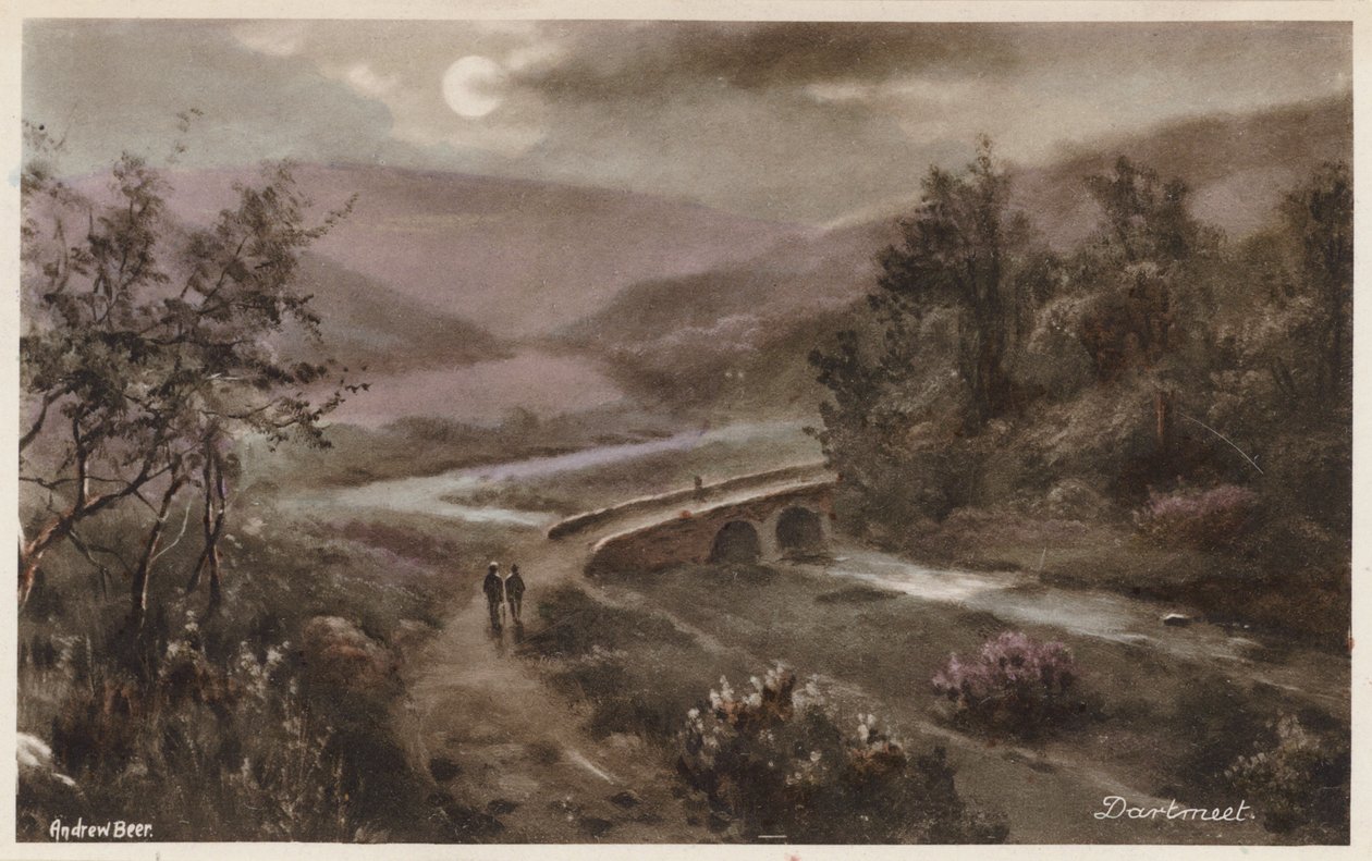 Dartmoor: Dartmeet (värikuva) tekijältä Andrew Beer