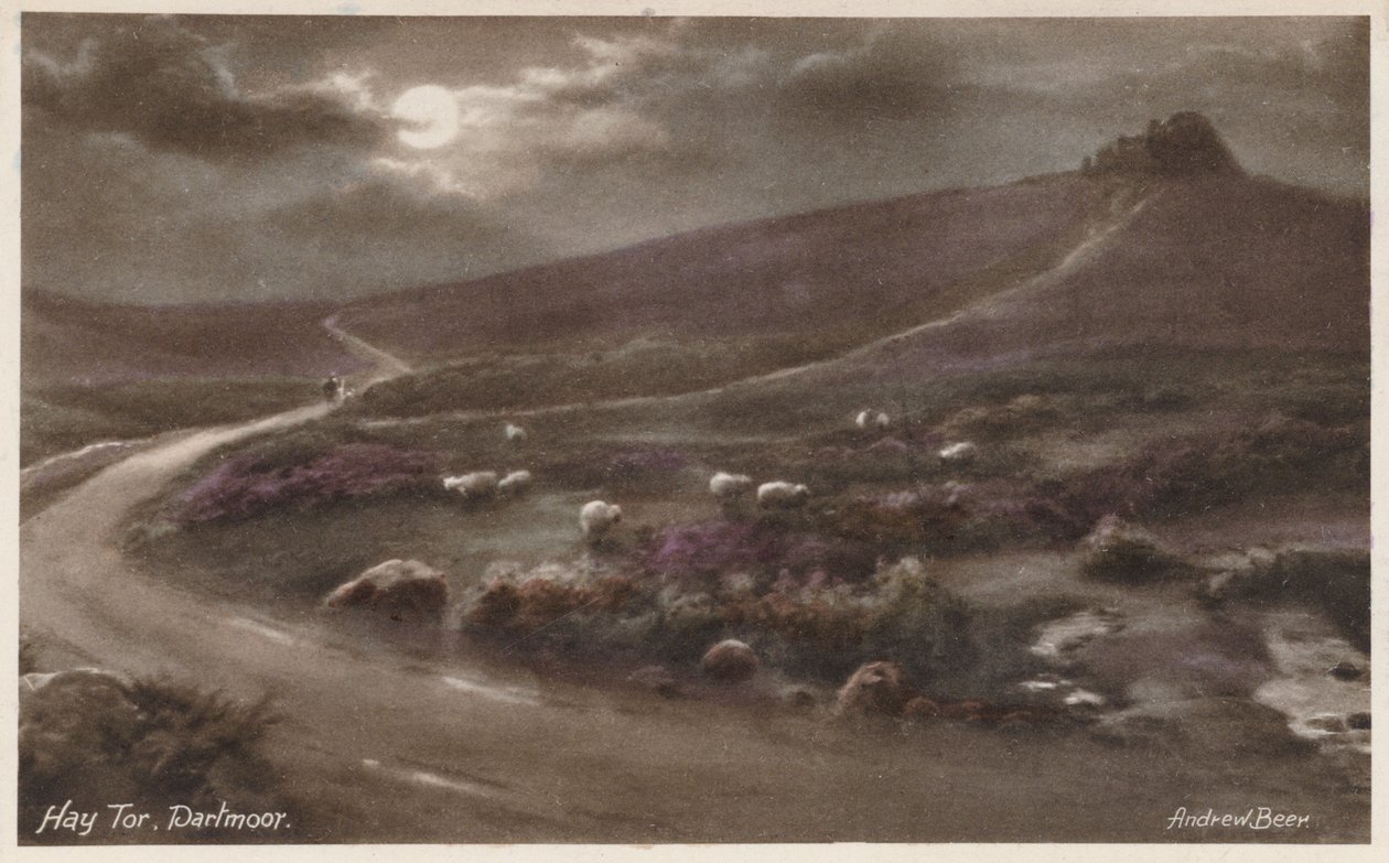 Hay Tor, Dartmoor (värikuva) tekijältä Andrew Beer