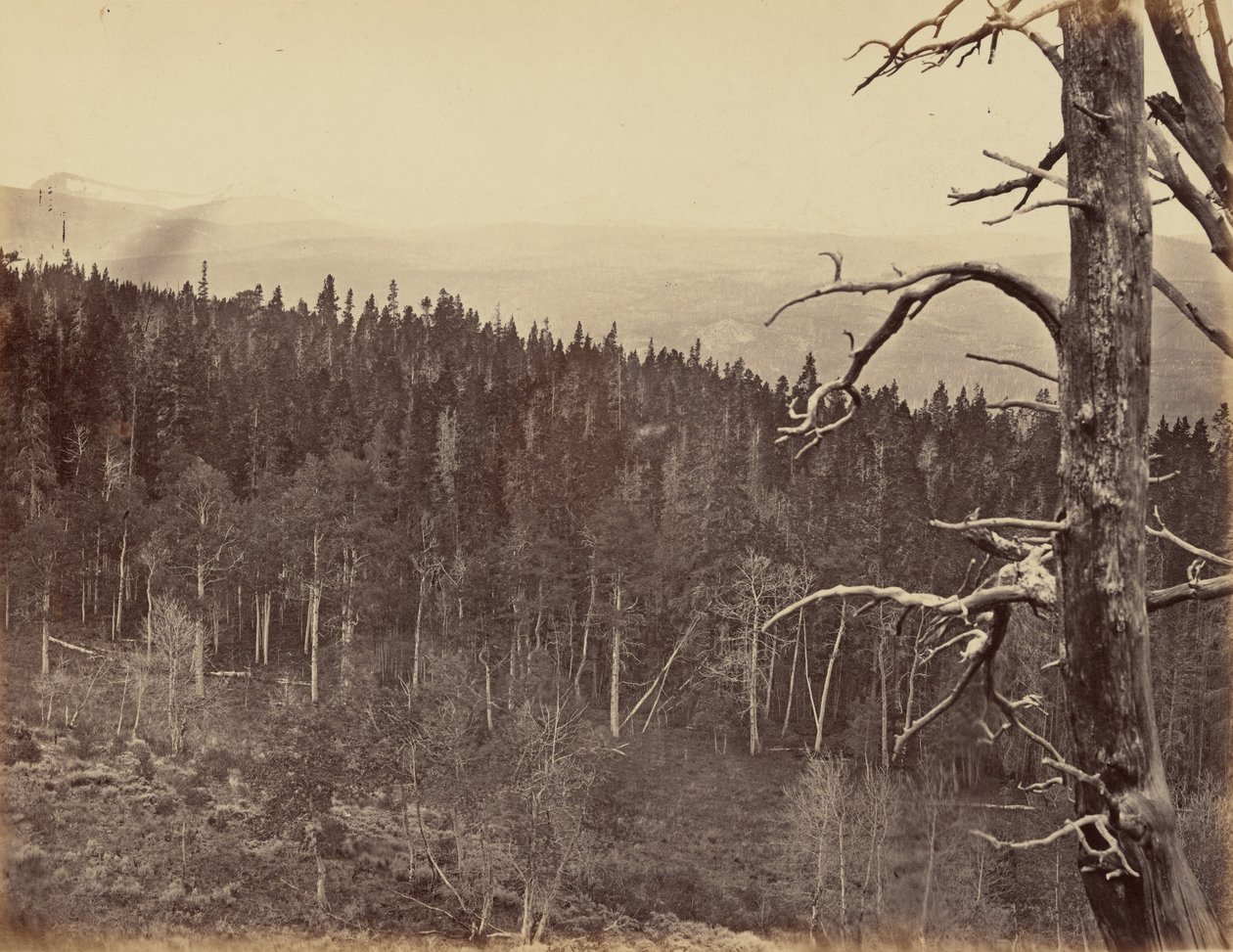 Lautanen 13. Lumi- ja puutavaralinja, Laramie Mountains,1869 (kuva). tekijältä Andrew Joseph Russell