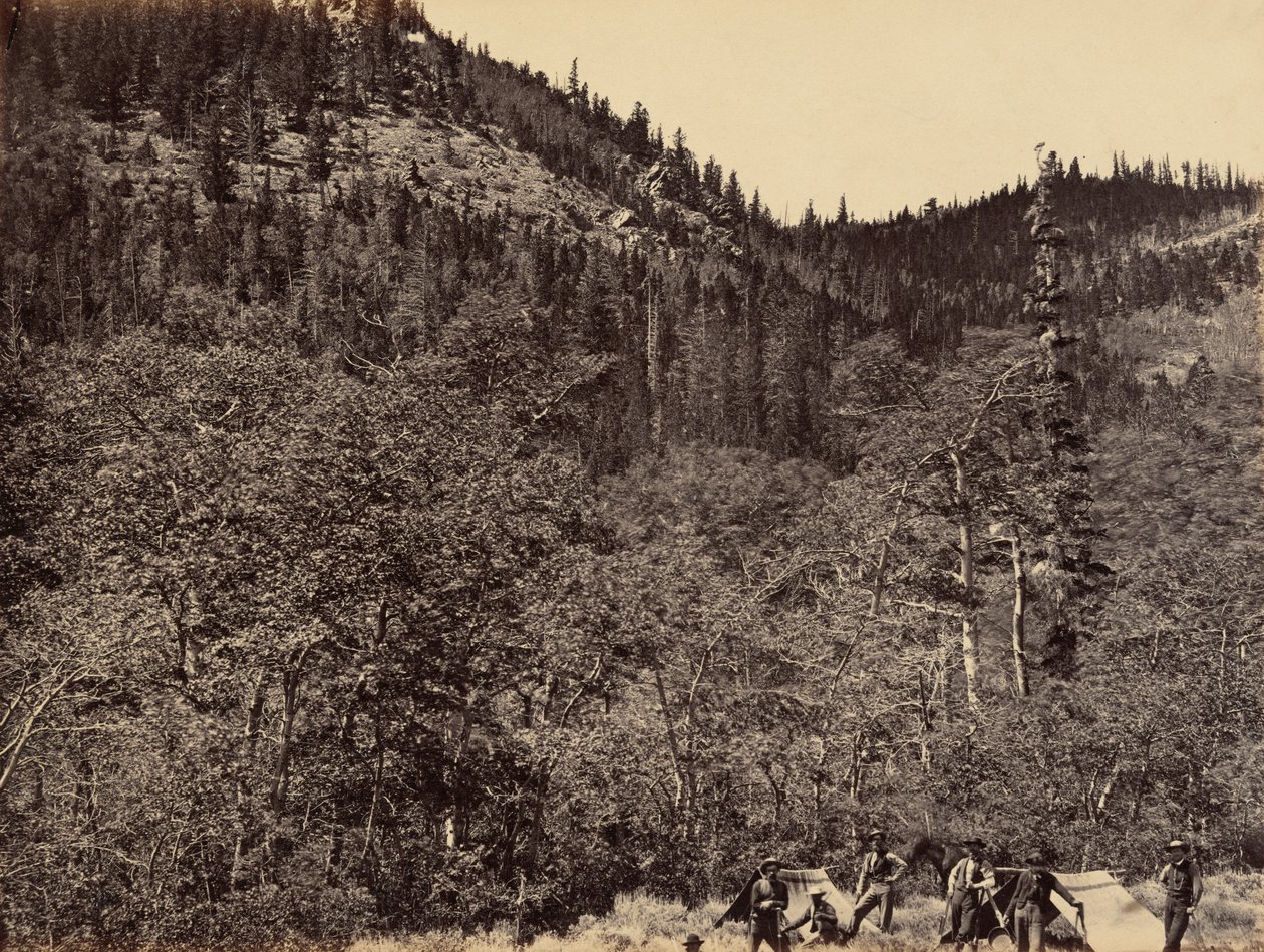 Lautanen 19. Puutavaran seassa Little Laramie -joen yläosassa, 1869 (kuva). tekijältä Andrew Joseph Russell