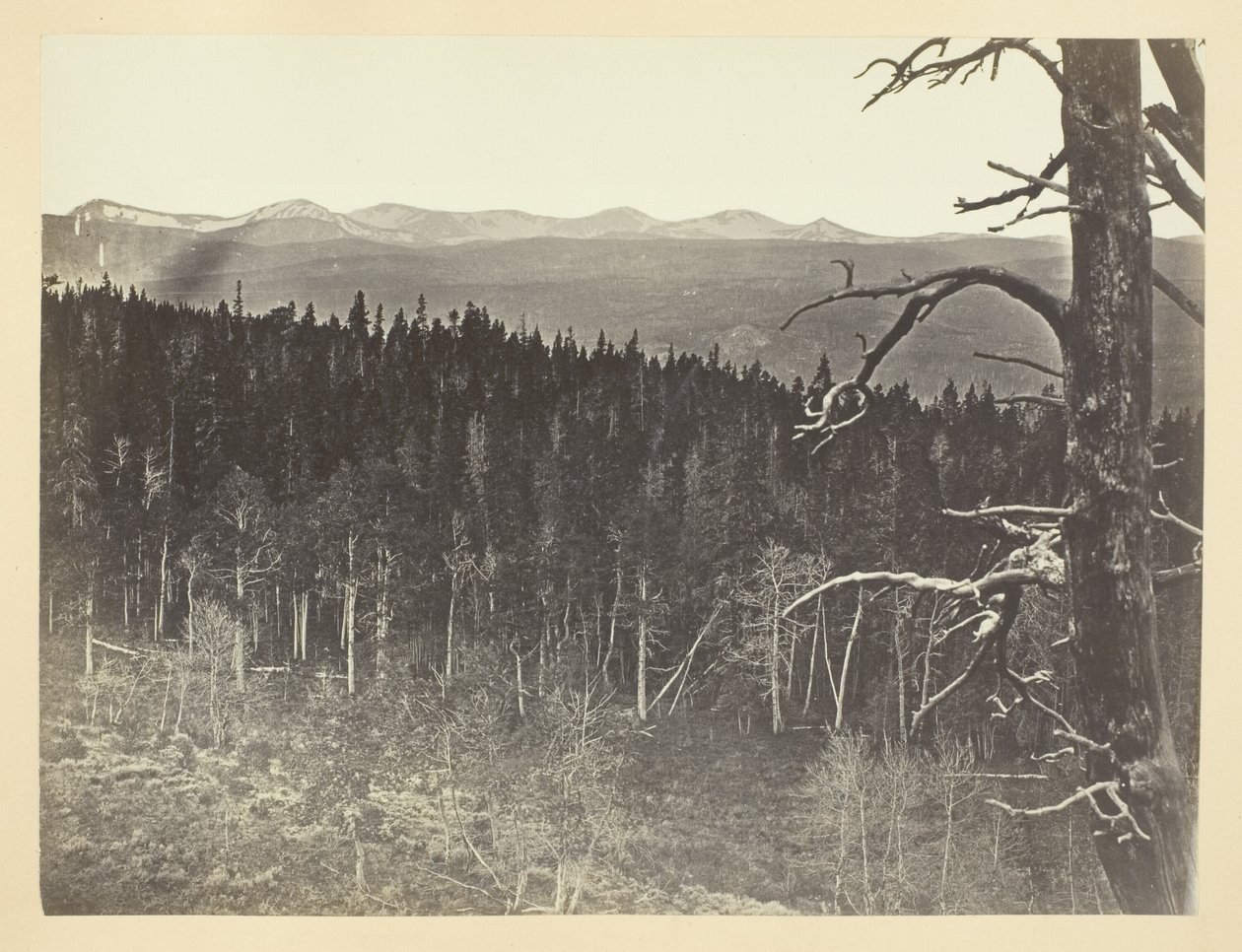 Lumi- ja puutavaralinja, Medicine Bow Mountain tekijältä Andrew Joseph Russell
