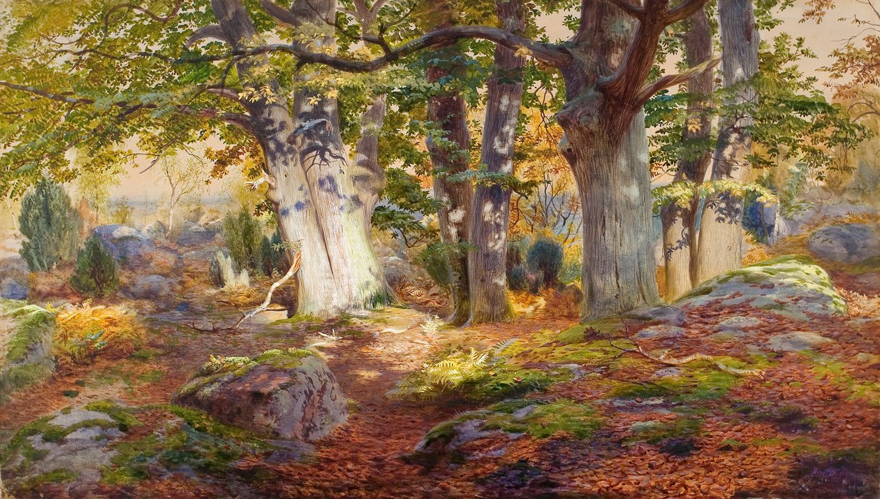 Syksyn auringonvalo sateen jälkeen, Fontainebleau (vesiväri ja vartaloväri paperille) tekijältä Andrew MacCallum