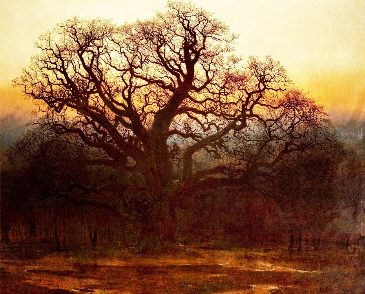 Major Oak, Sherwood Forest, Nottinghamshire, 1882 tekijältä Andrew MacCallum