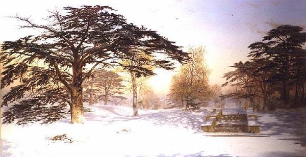 Jalkaantumaton lumi kolmen mailin säteellä Charing Crossista; Holland Park tekijältä Andrew MacCallum