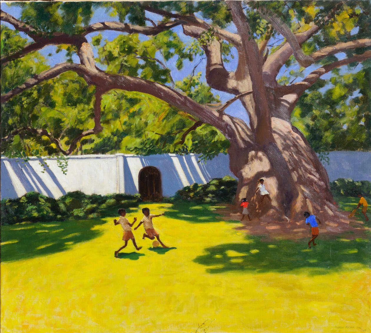 ANTIENT CAMPHOR TREE,VERGELEGEN ESTATE,ETELÄ-AFRIKA tekijältä Andrew Macara