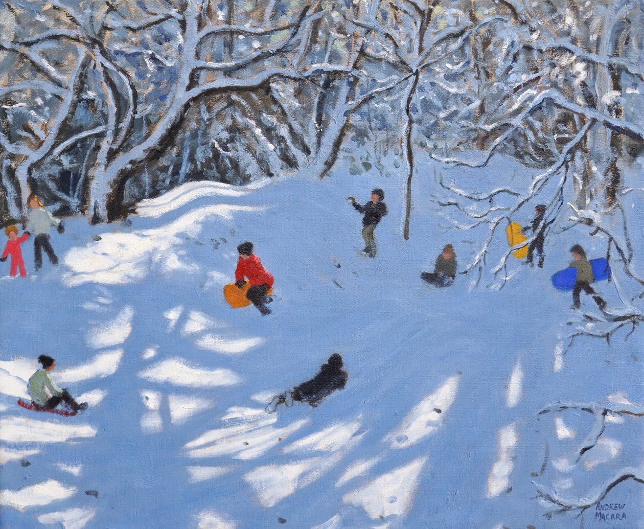 Joulu,Allestree Woods,Derby,2017, tekijältä Andrew Macara