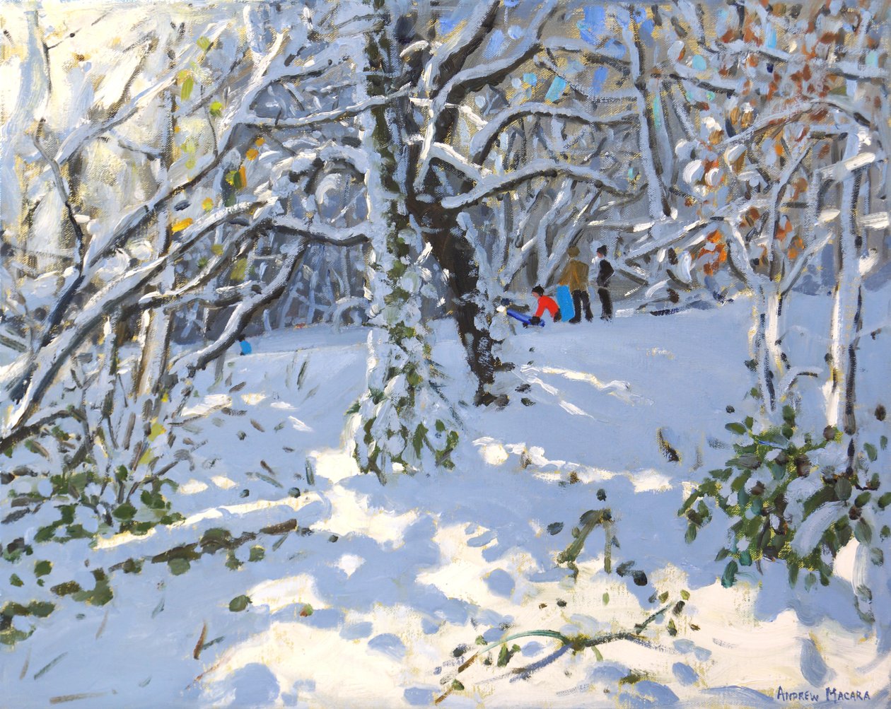 Joulukelkkailu Allestree Woodsissa, 16x20 ,2013 tekijältä Andrew Macara