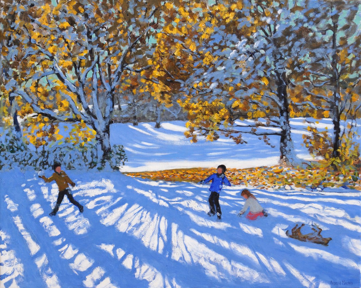 Varhainen lumi, Allestree Park. 2017, tekijältä Andrew Macara