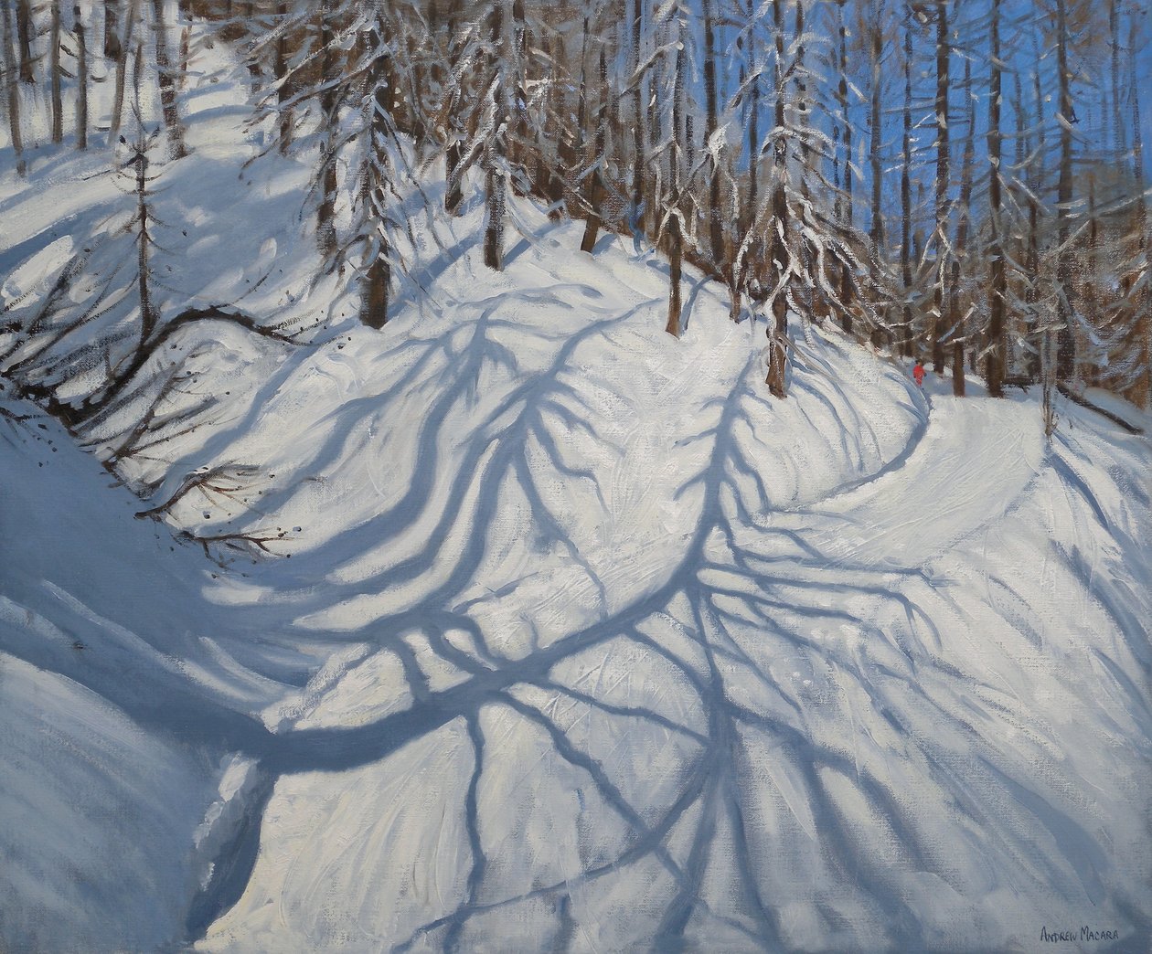 Fir Tree Shadows, Tignes, 2009 tekijältä Andrew Macara