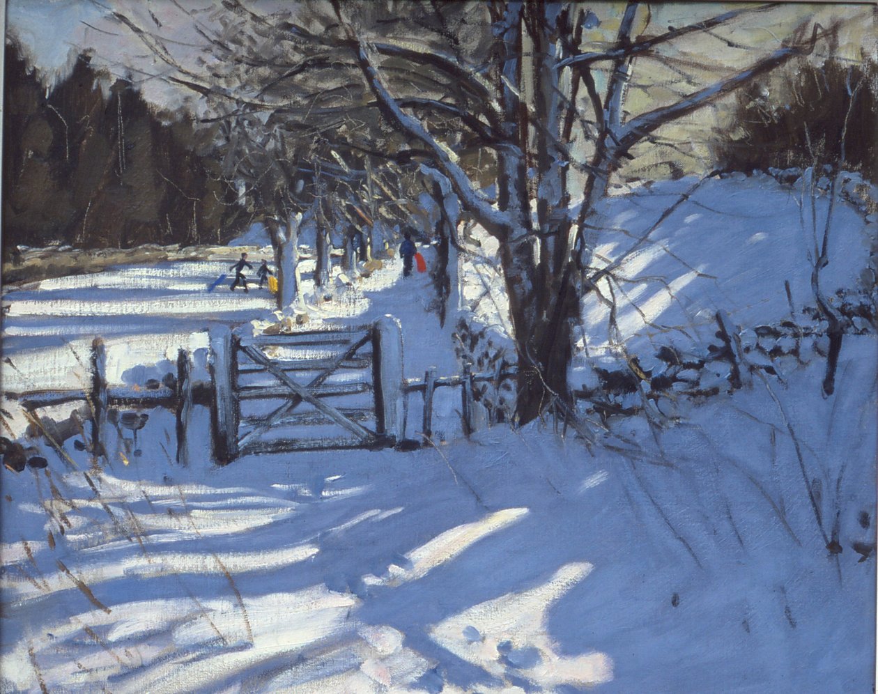 Portti lähellä Youlgreavea, Derbyshire tekijältä Andrew Macara