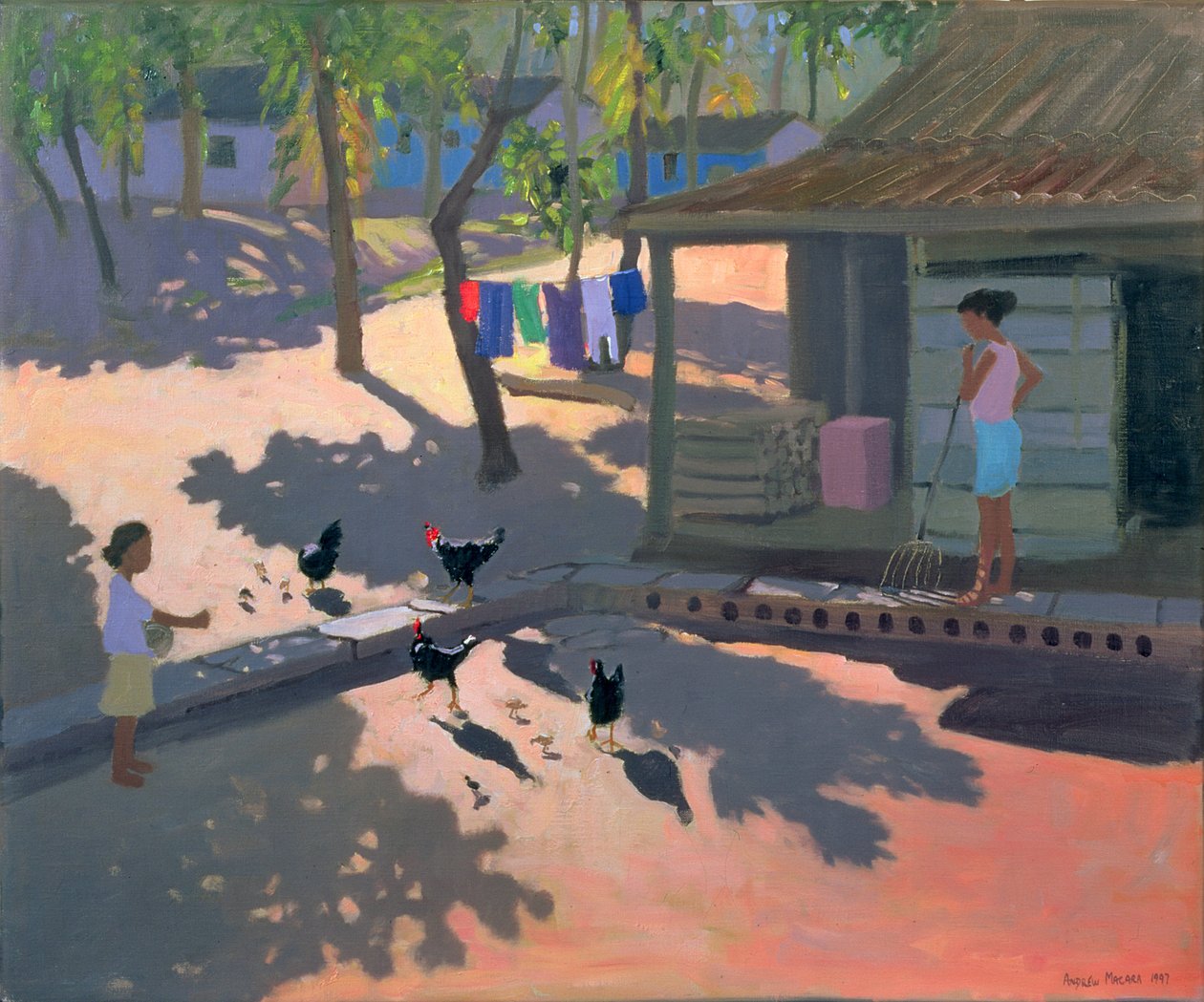 Kanat ja kanat, Kuuba, 1997 tekijältä Andrew Macara