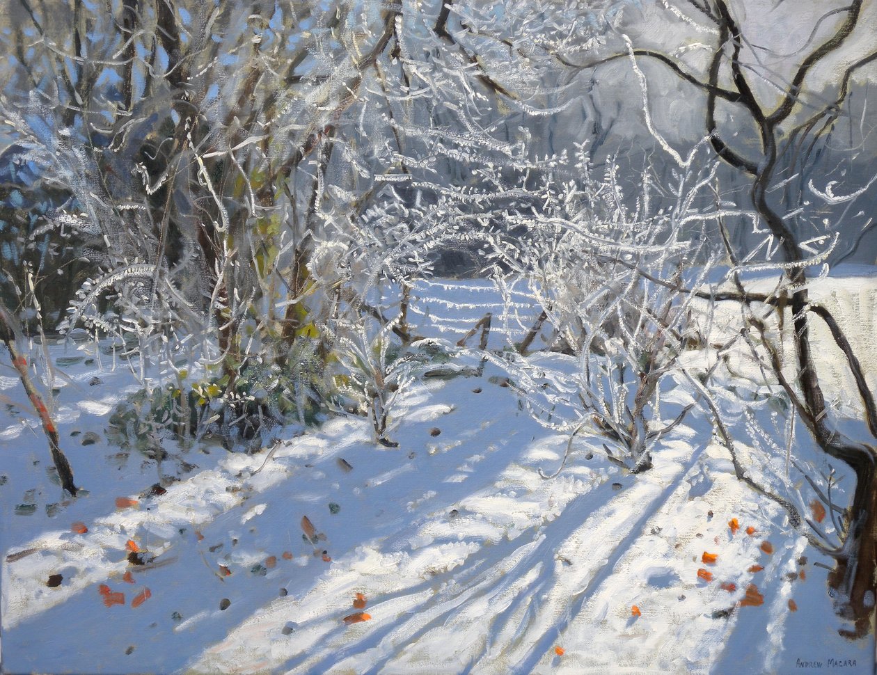 Hoar Frost, 2011 tekijältä Andrew Macara