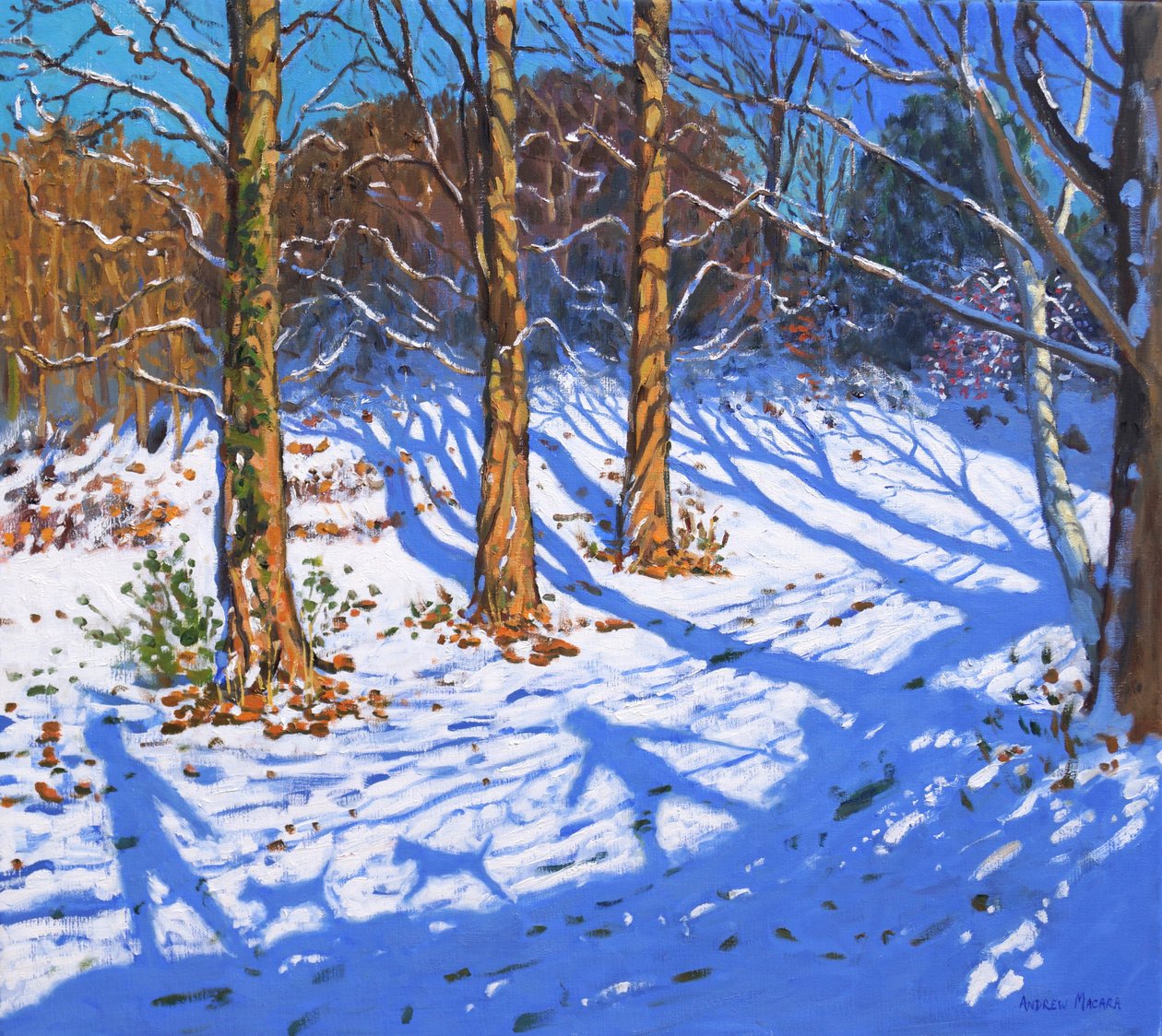 Marraskuun lumi, Allestree Park,Derby, 2017, tekijältä Andrew Macara