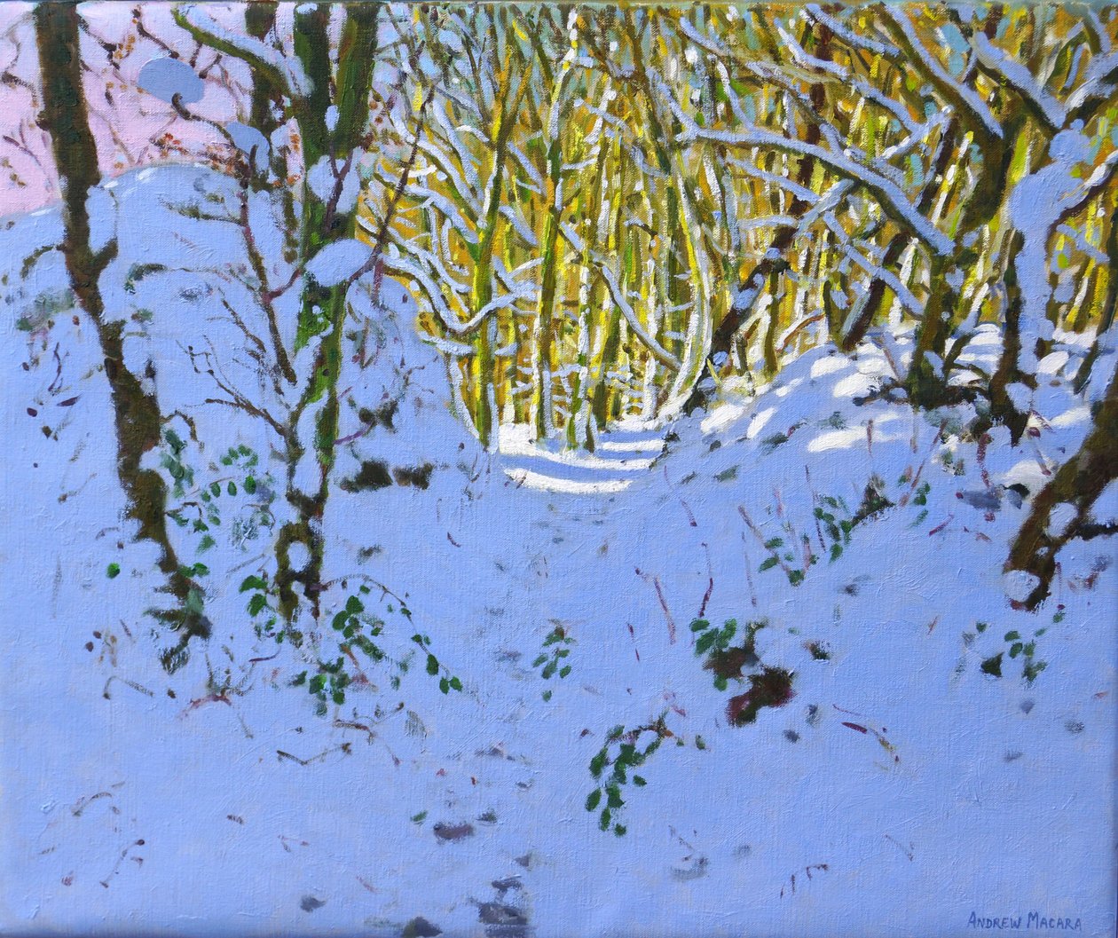 Polku metsän läpi talvella, Derbyshire, (öljy kankaalle) tekijältä Andrew Macara