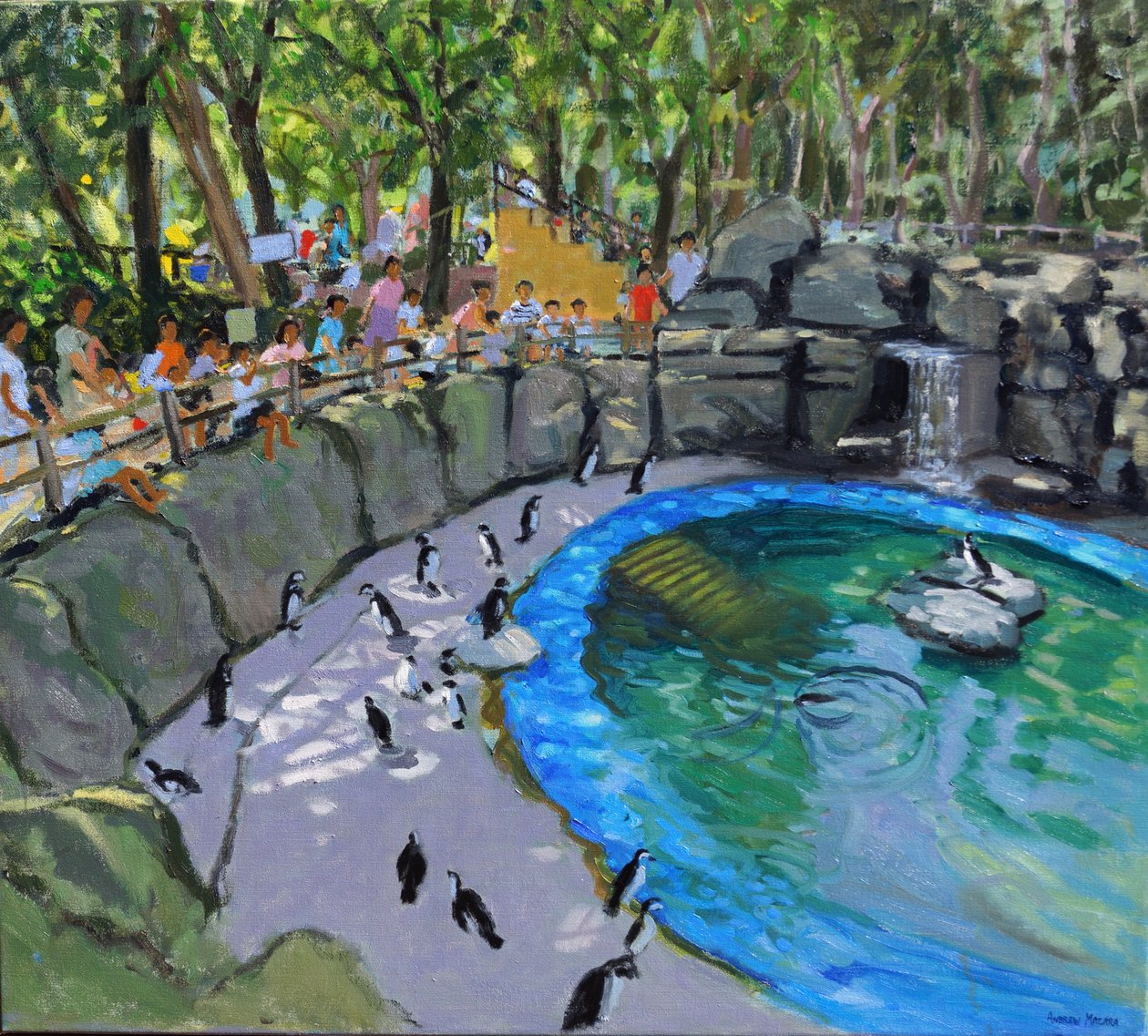 Pingviiniallas, Madridin eläintarha. 2015 tekijältä Andrew Macara
