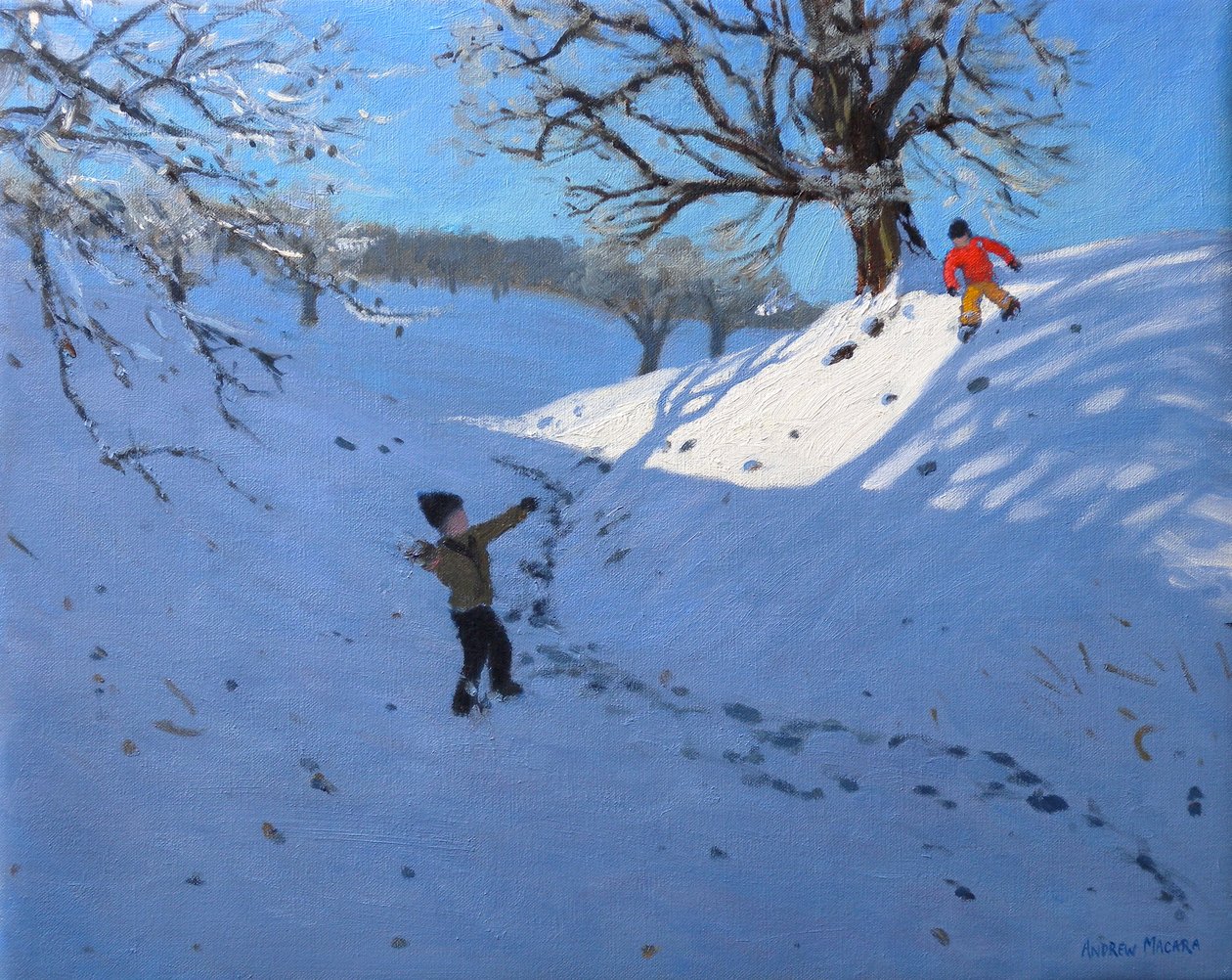 Lumipallo, 2011 (öljy kankaalle) tekijältä Andrew Macara