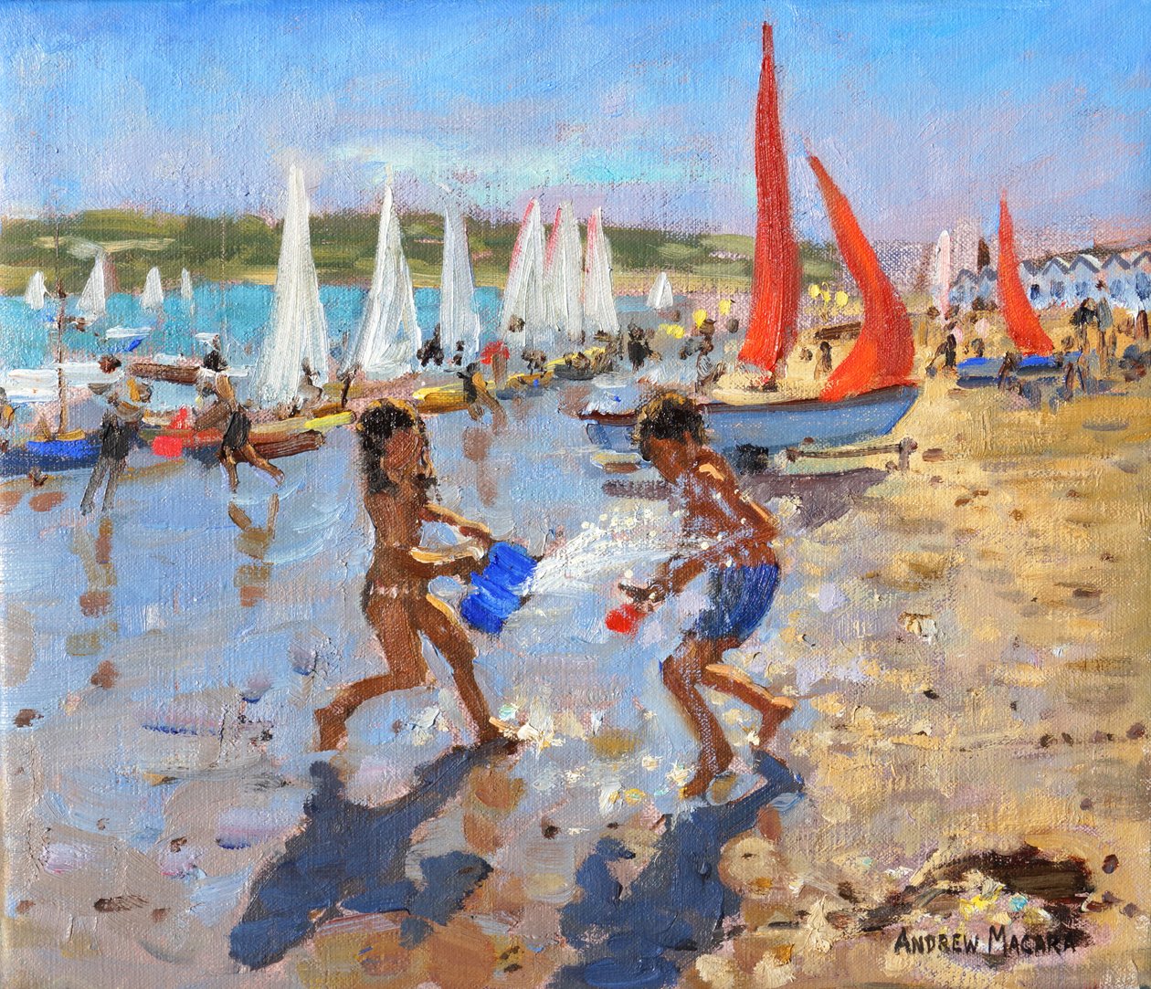 Roiskeet, Abersoch, 2015 tekijältä Andrew Macara