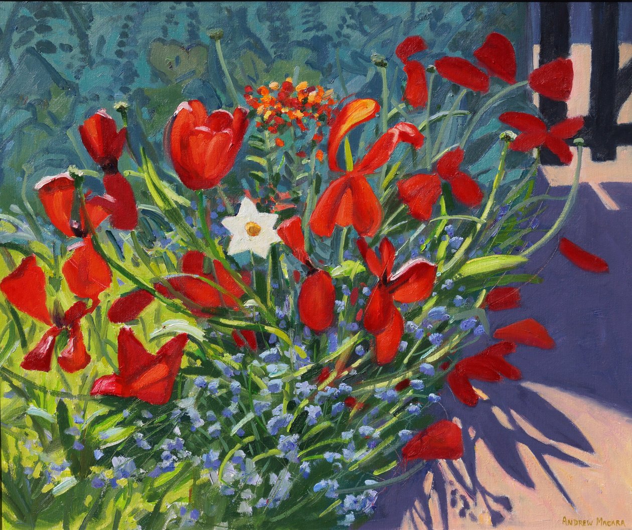 Tulppaanit portilla,2017, tekijältä Andrew Macara
