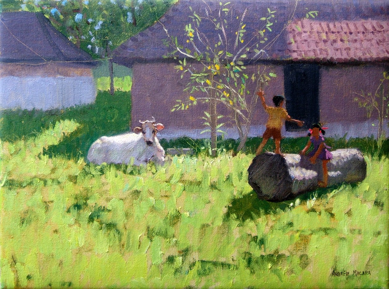 VALKOINEN LEHMÄ JA KAKSI LAPSIA,MANKOTTA SAARI,KERALA,INTIA tekijältä Andrew Macara