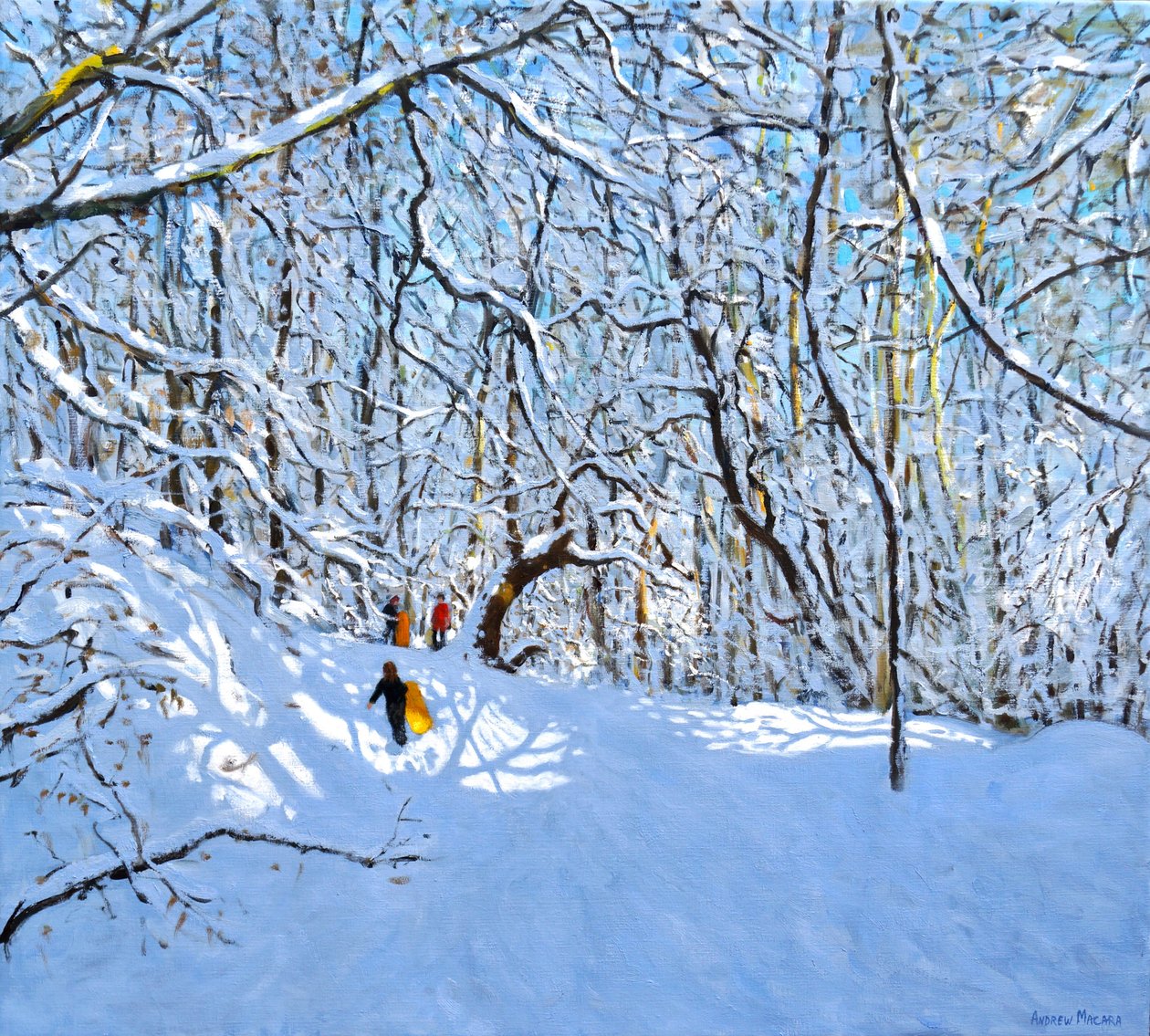 Keltaiset ja oranssit kelkat, Allestree Park, Derby. 36 x 40, 2018, tekijältä Andrew Macara