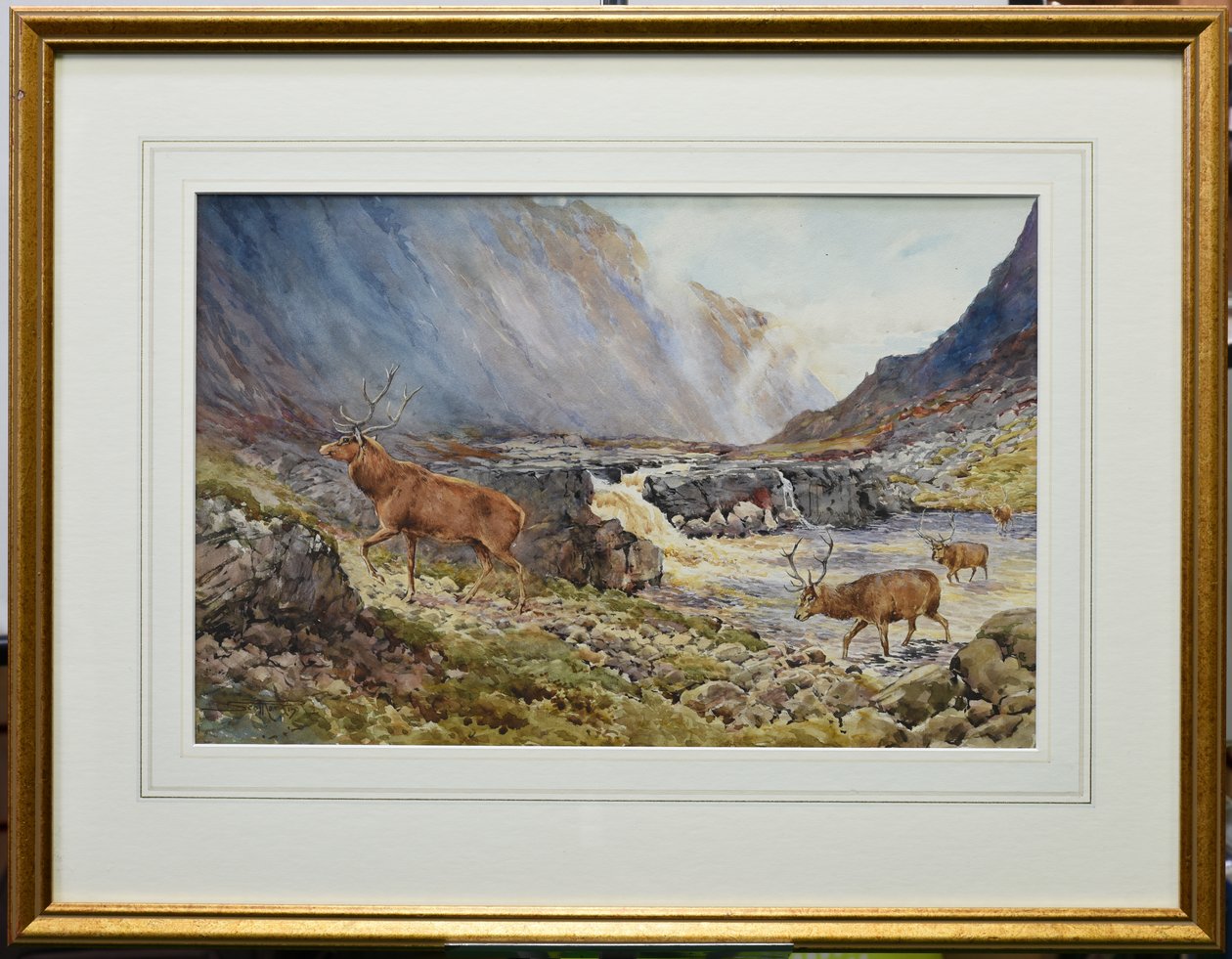 Deer Crossing the River Coe (akvarelli paperille) tekijältä Andrew Scott Rankin