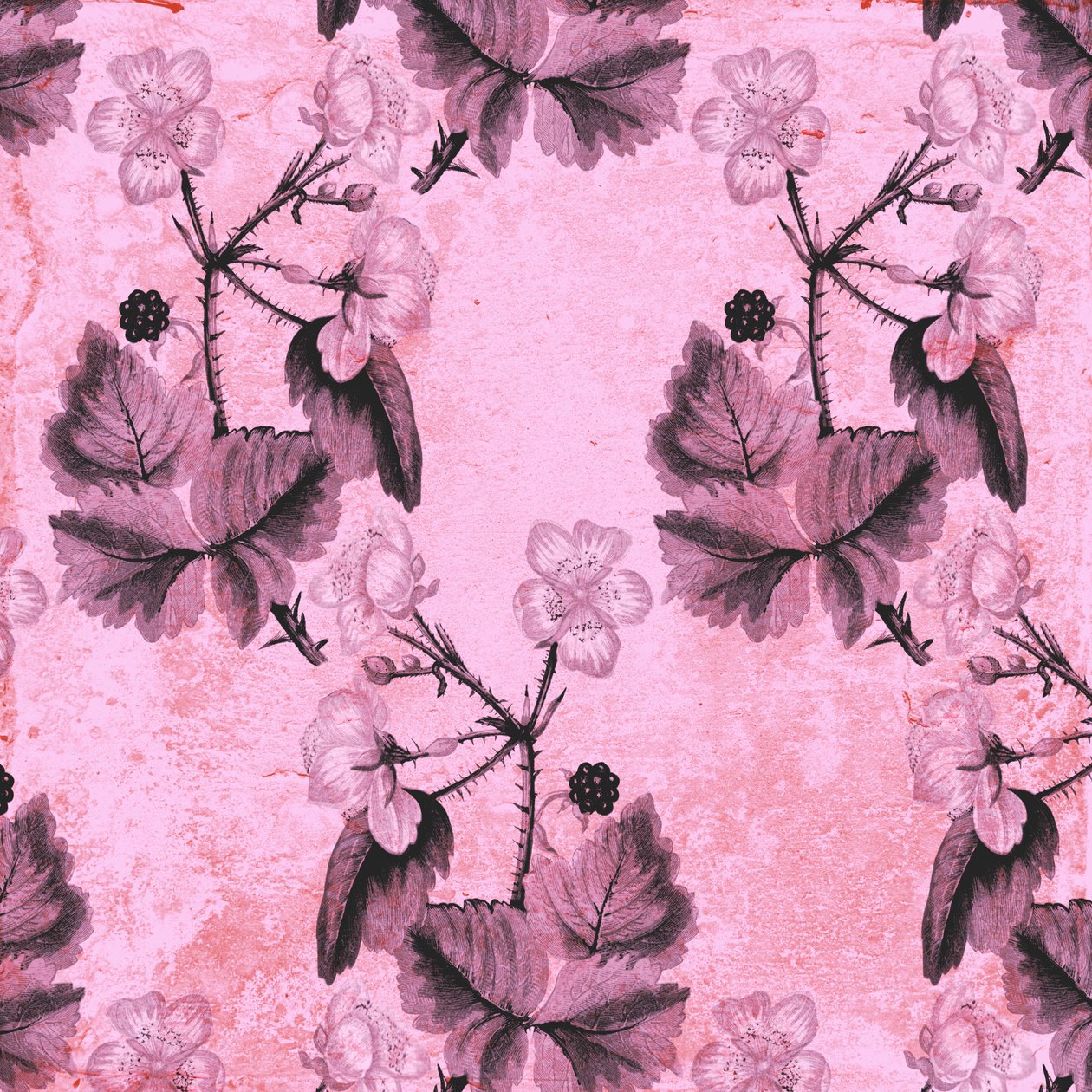 Blackberry Floral, 2017, akvarelli ja digitaalinen tekijältä Andrew Watson