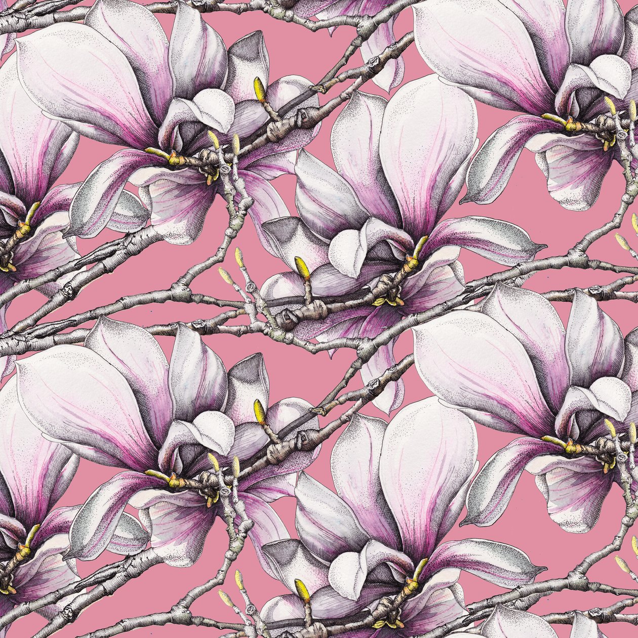 Magnolia, 2019 (akvarelli, kynä) tekijältä Andrew Watson