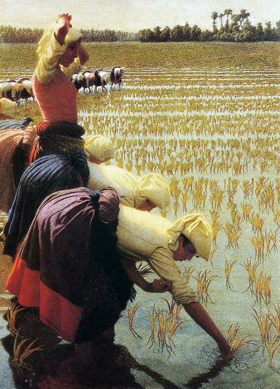 Italialainen riisipelto, 1901 tekijältä Angelo Morbelli