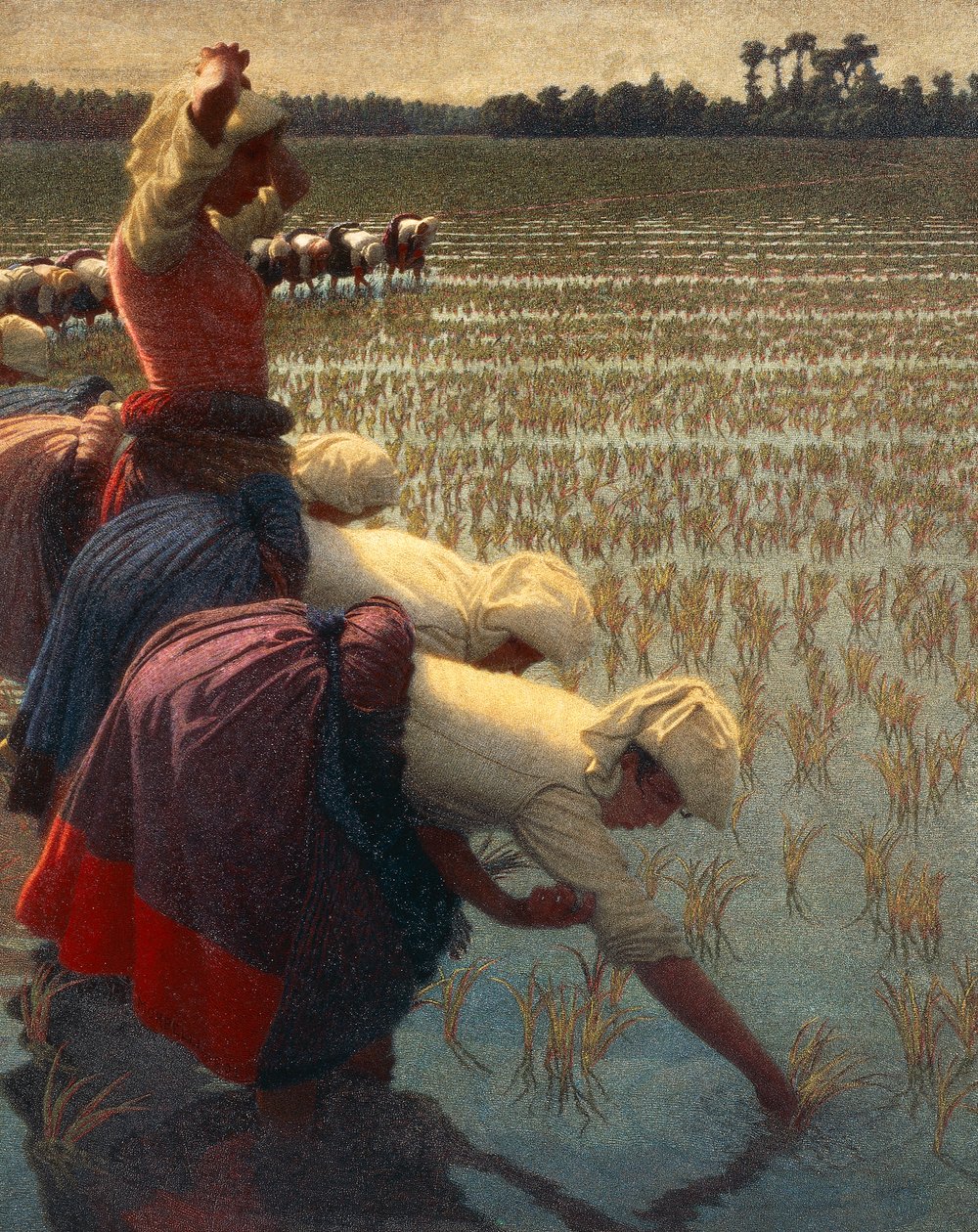 The Mondine (italialaiset naisriisityöläiset) tekijältä Angelo Morbelli