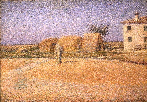 Corn in the Sun (öljy kankaalle) tekijältä Angelo Torchi
