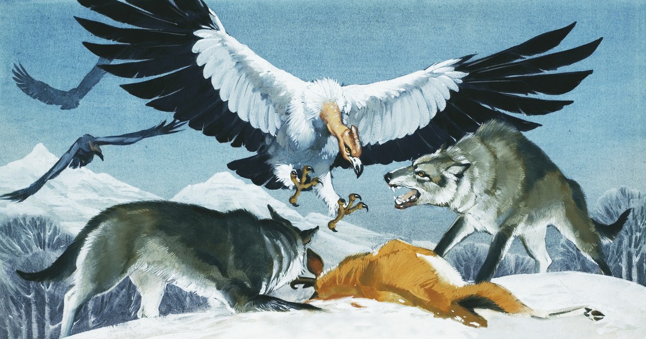 Teratornis tekijältä Angus McBride